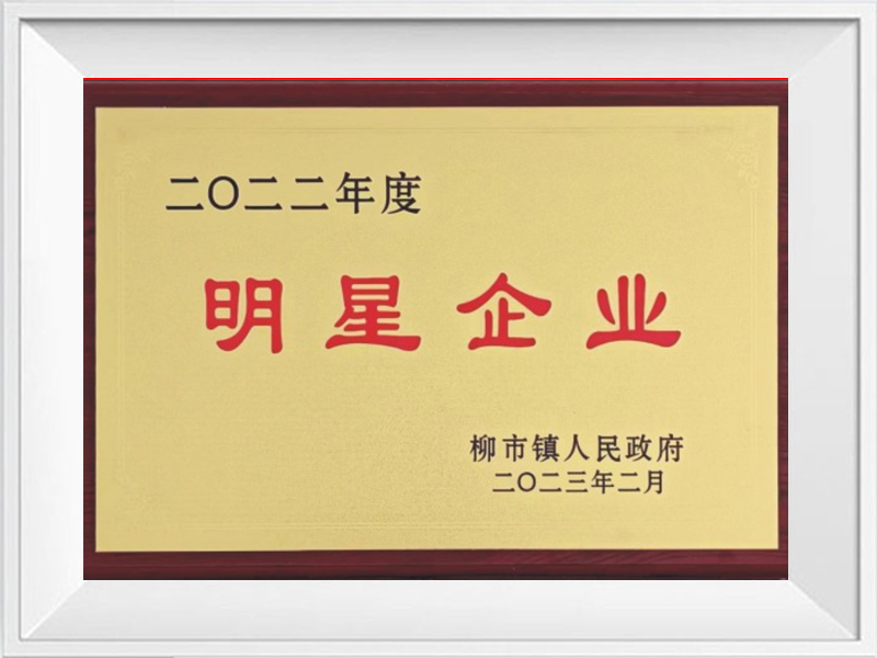 Звездное предприятие